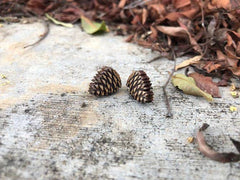 Pine Cone Stud Earrings